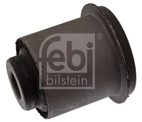 Mounting, control/trailing arm